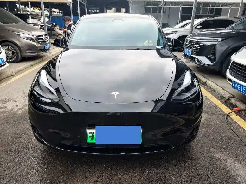 Tesla Model Y — фото 1