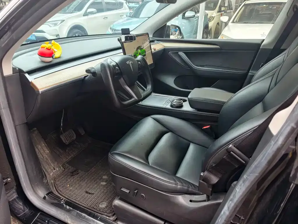 Tesla Model Y — фото 3
