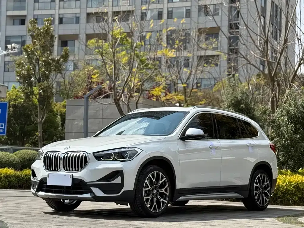 BMW X1 — фото 1
