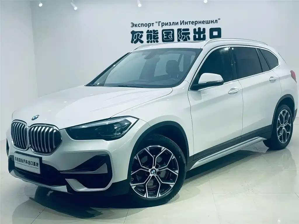 BMW X1 — фото 1