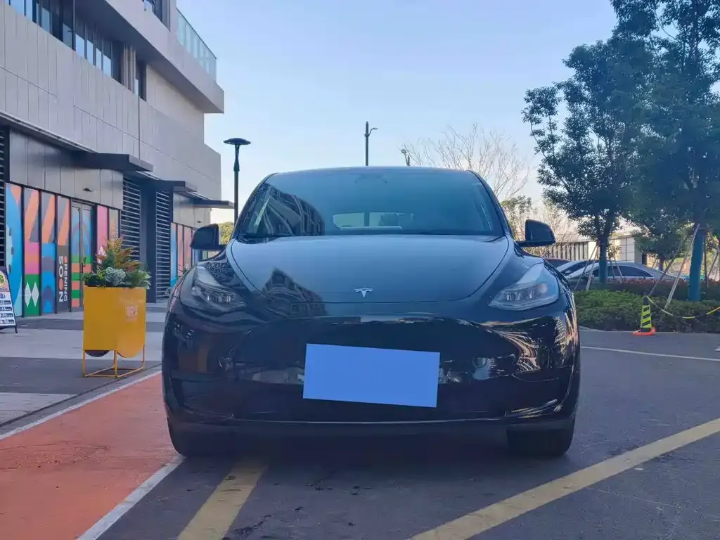 Tesla Model Y — фото 5
