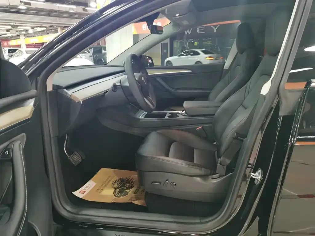 Tesla Model Y — фото 10