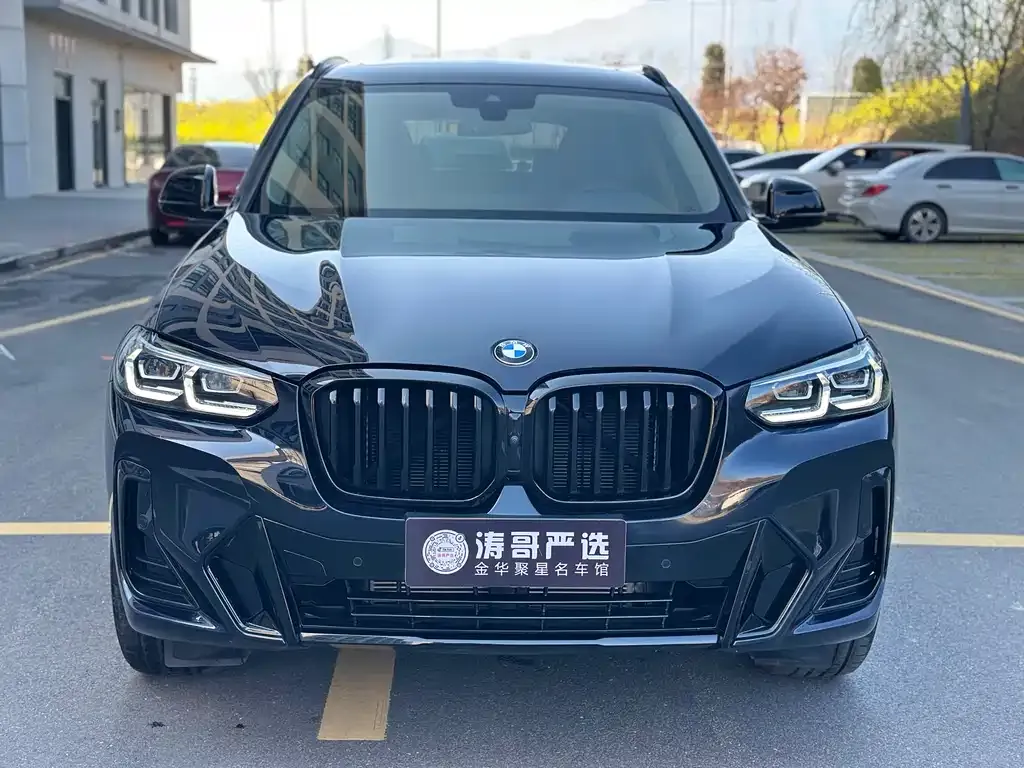 BMW X3 — фото 2