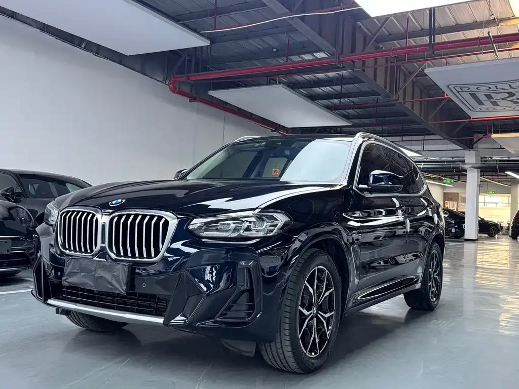 BMW X3 — фото 1