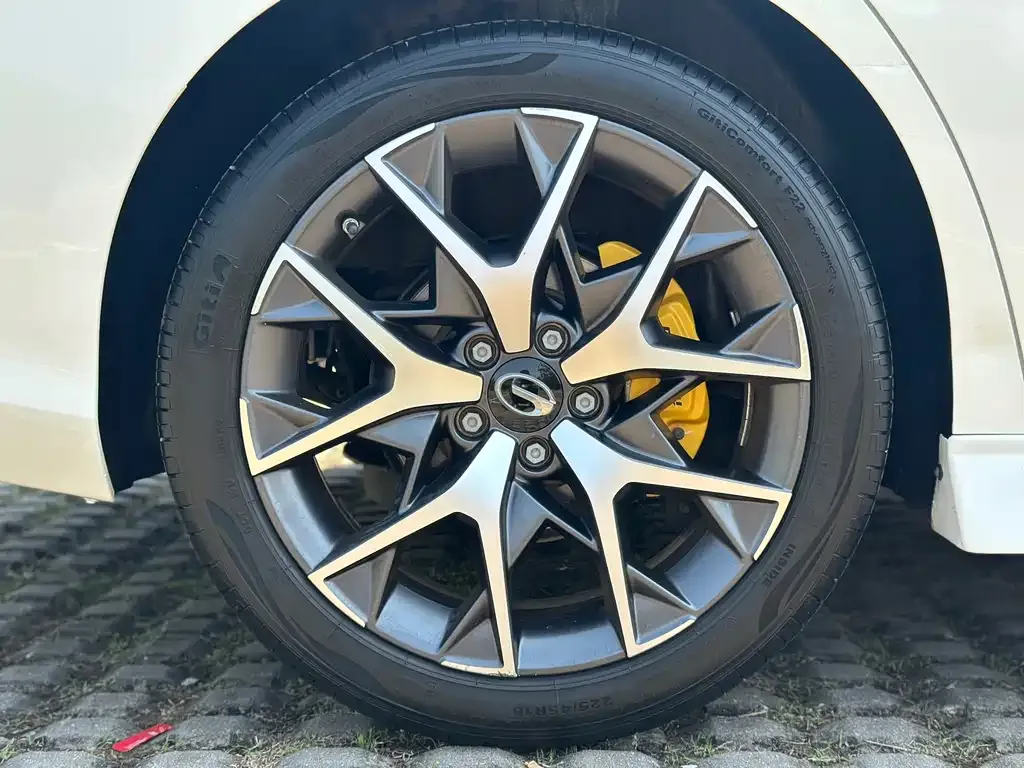 GAC Motor Shadow Leopard — фото 8