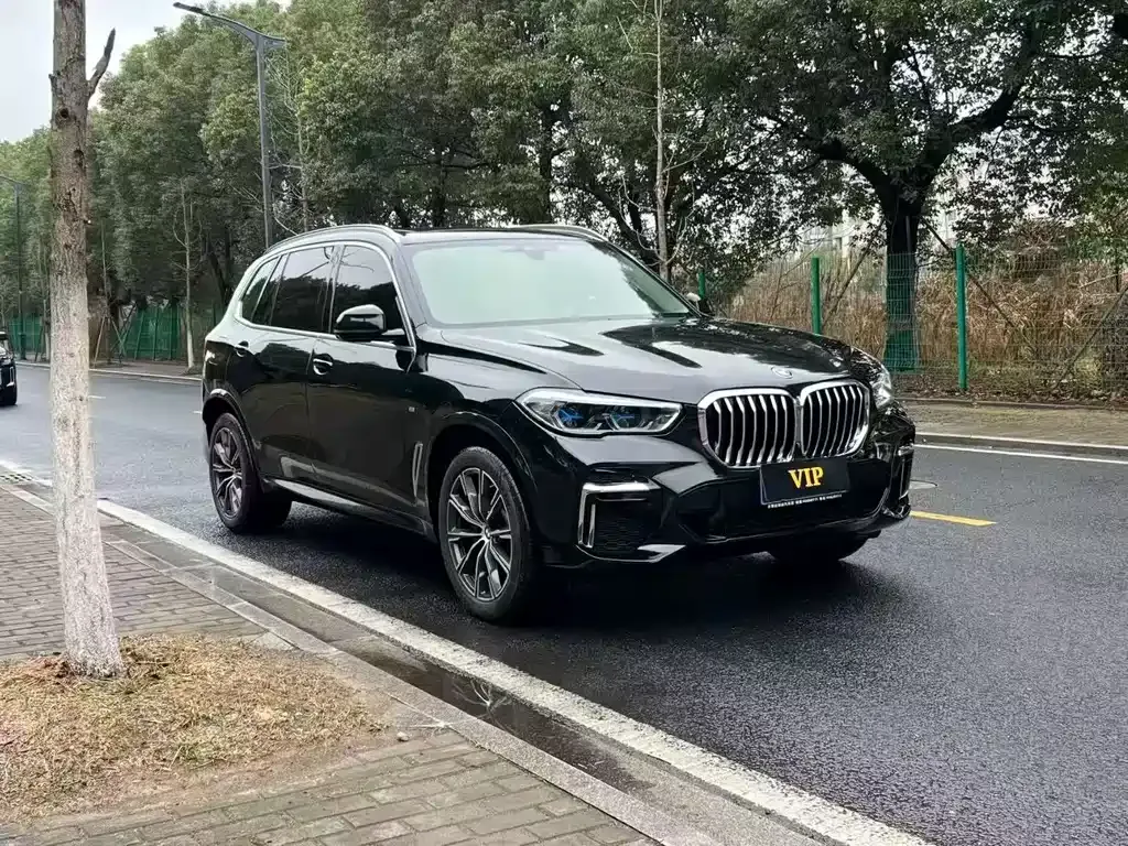 BMW X5 — фото 5