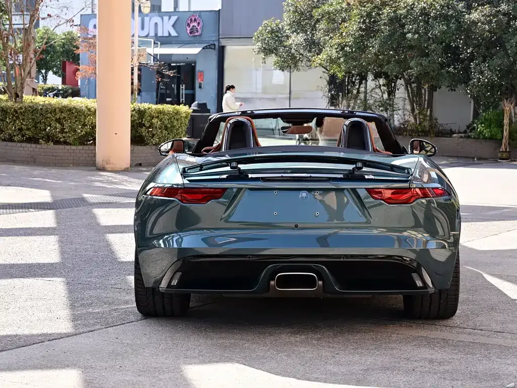 Jaguar F-TYPE — фото 10
