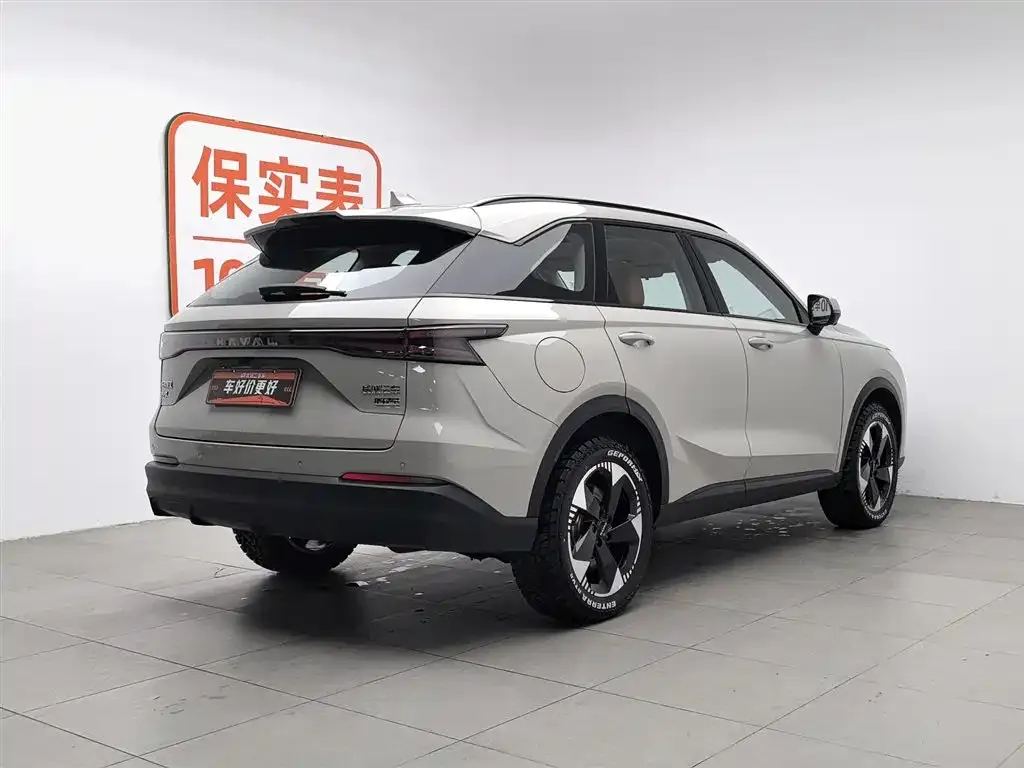 Haval Xiaolong MAX — фото 10
