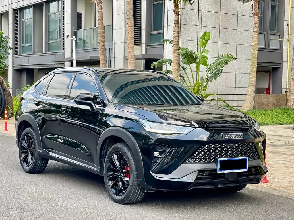 Haval H6S — фото 4