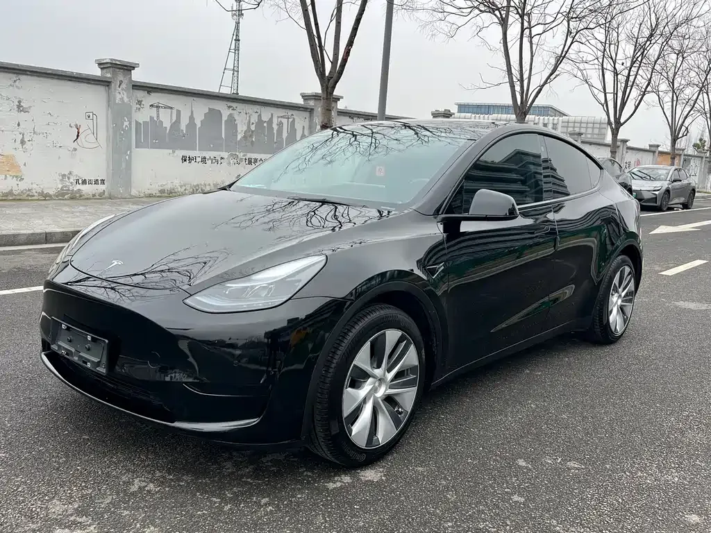 Tesla Model Y — фото 1