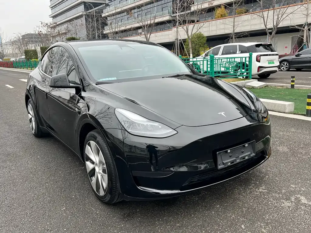 Tesla Model Y — фото 8