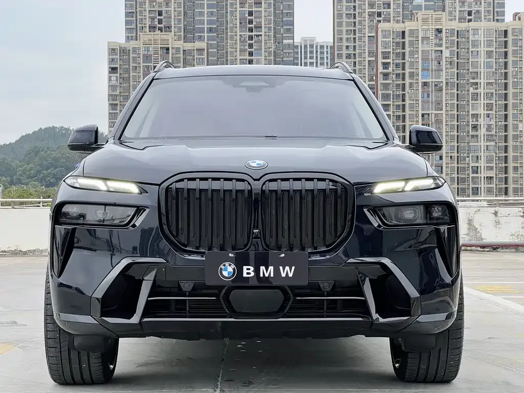 BMW X7 — фото 3