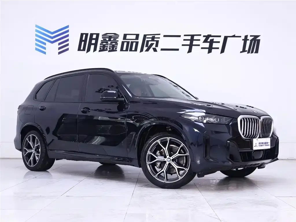 BMW X5 — фото 10