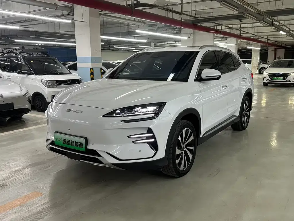 BYD PLUS New Energy — фото 1