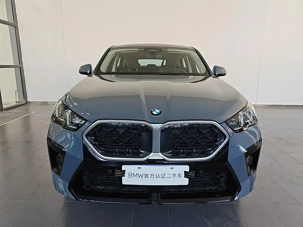 BMW X2 (Import) — фото 5