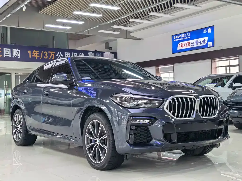 BMW X6 — фото 8