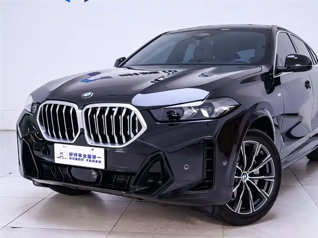 BMW X6 — фото 2