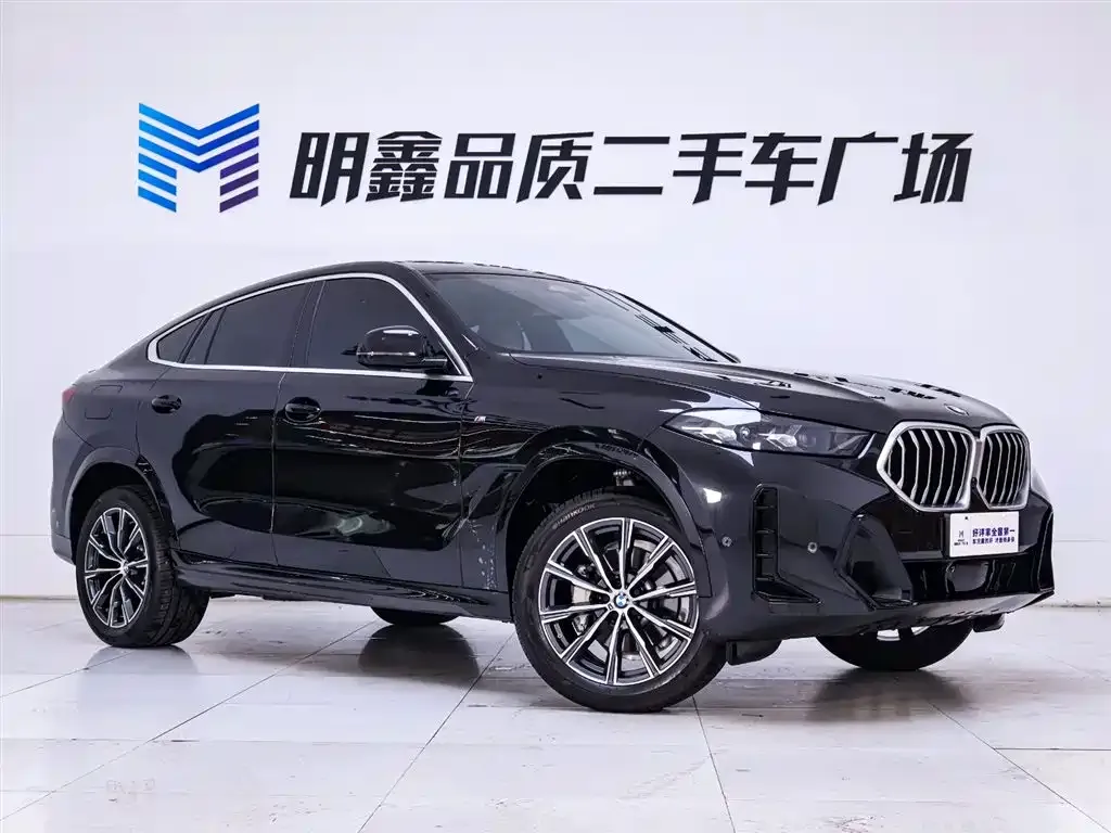BMW X6 — фото 9