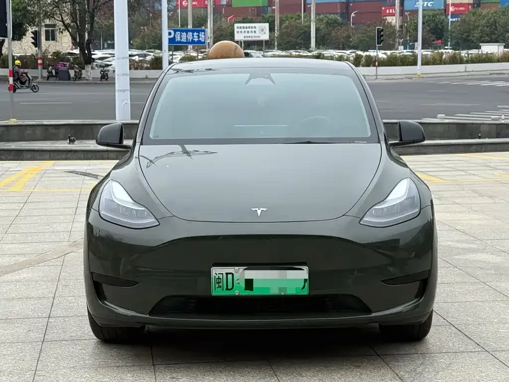 Tesla Model Y — фото 2