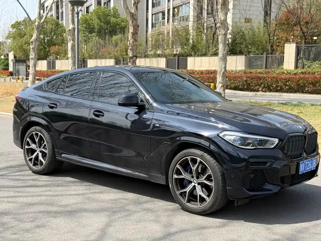 BMW X6 — фото 9