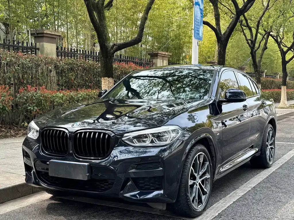 BMW X4 — фото 1
