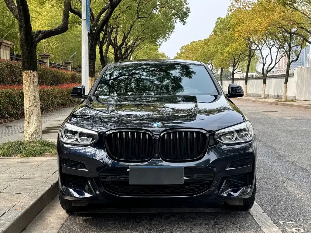 BMW X4 — фото 7
