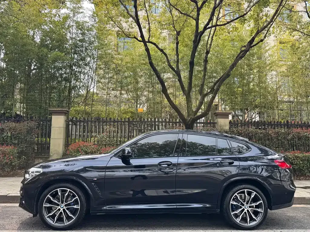 BMW X4 — фото 10