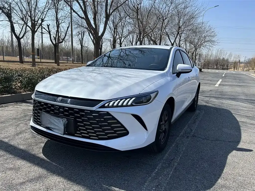 BYD Qin PLUS — фото 1