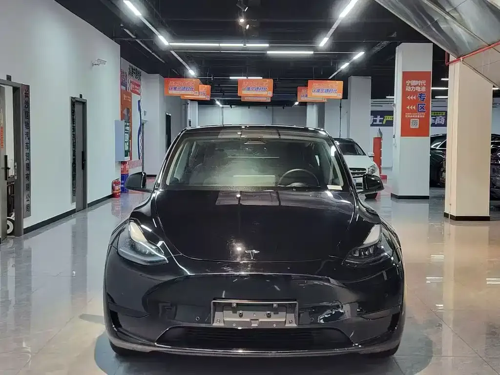 Tesla Model Y — фото 2