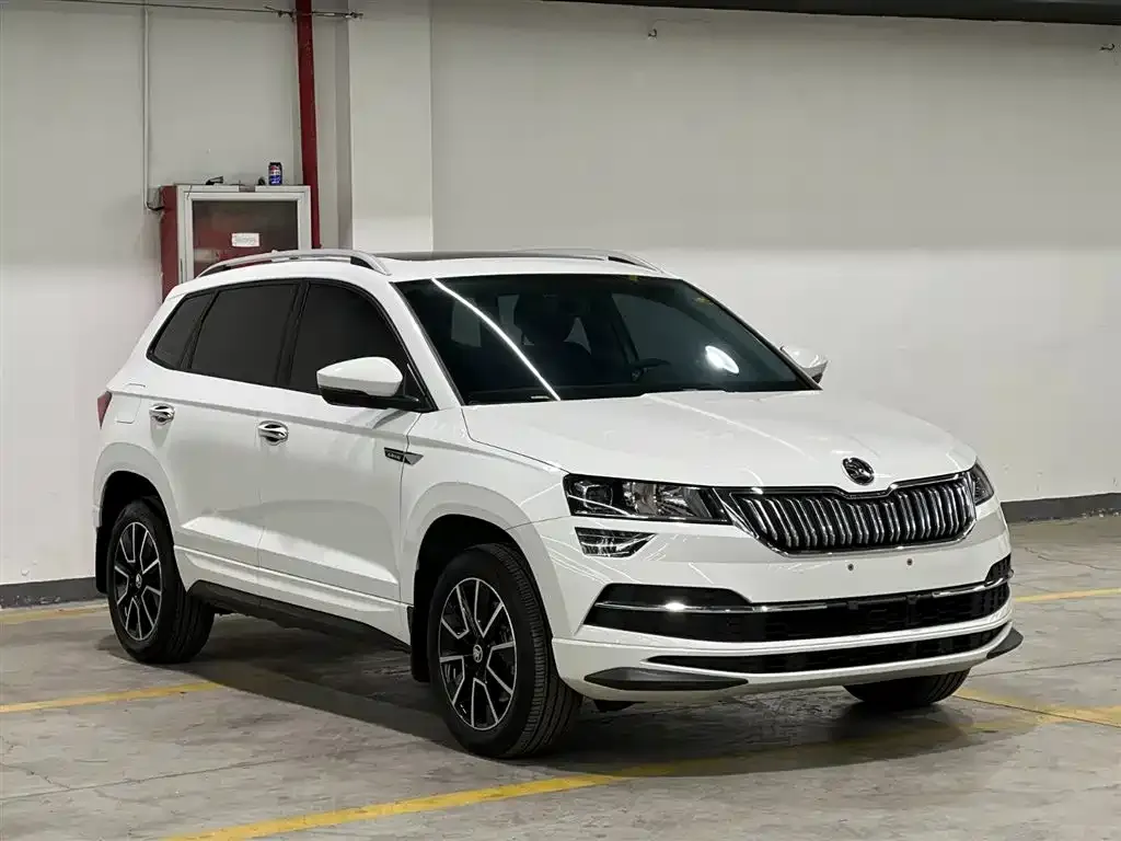 Skoda Karoq — фото 7