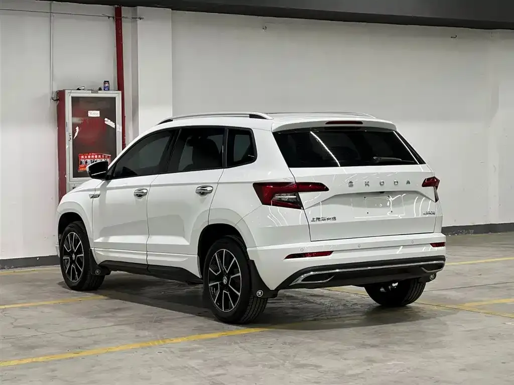 Skoda Karoq — фото 6