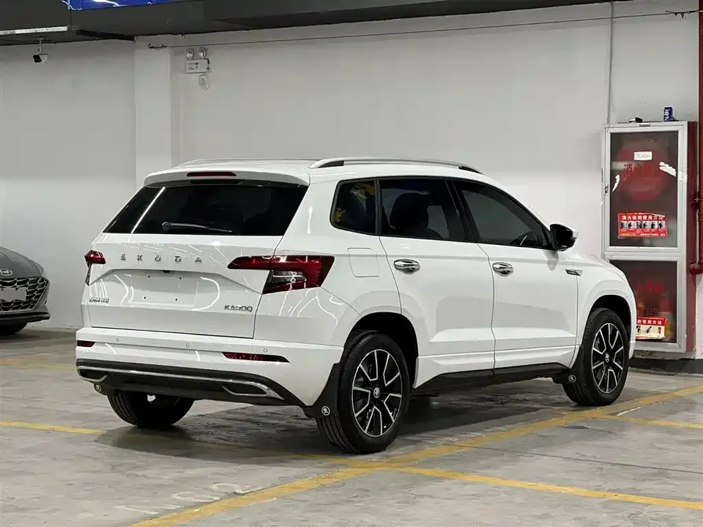 Skoda Karoq — фото 9