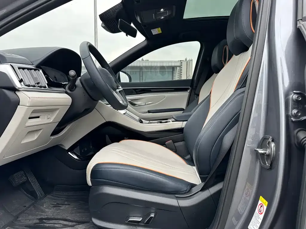 BYD PLUS New Energy — фото 6