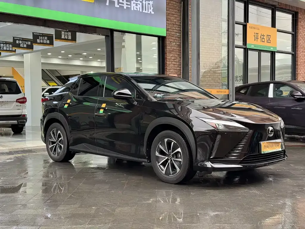 Lexus RZ — фото 10