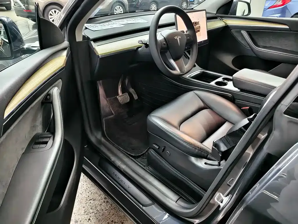 Tesla Model Y — фото 6