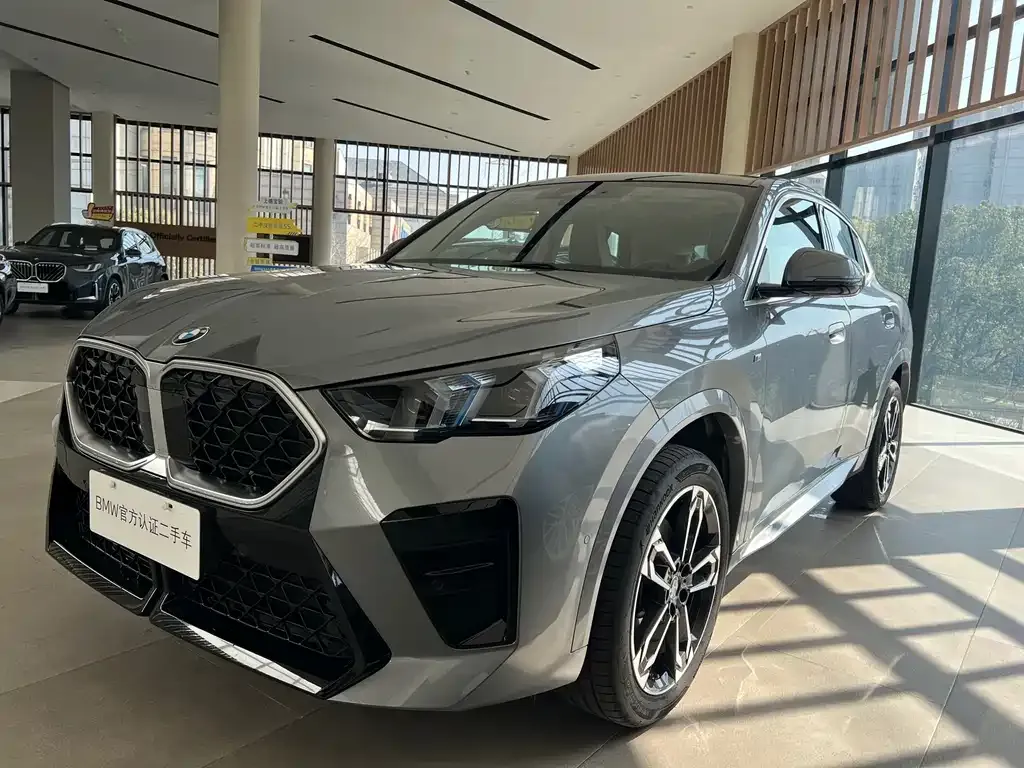 BMW X2 (Import) — фото 1
