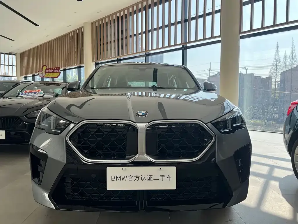 BMW X2 (Import) — фото 9