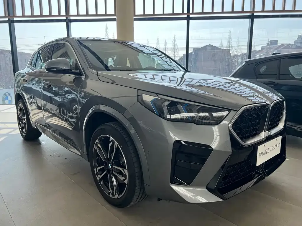 BMW X2 (Import) — фото 10