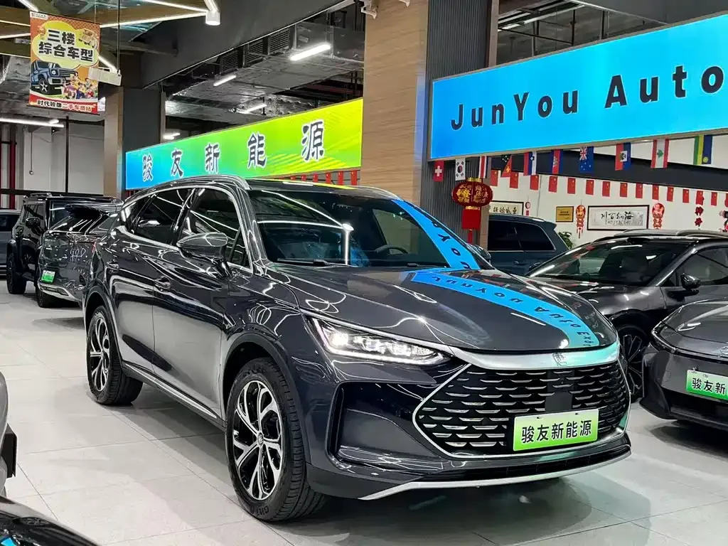 BYD Tang New Energy — фото 7