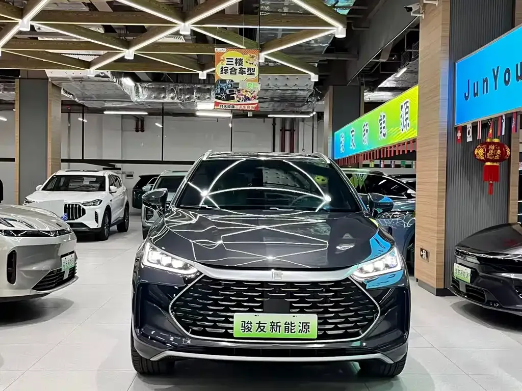 BYD Tang New Energy — фото 9
