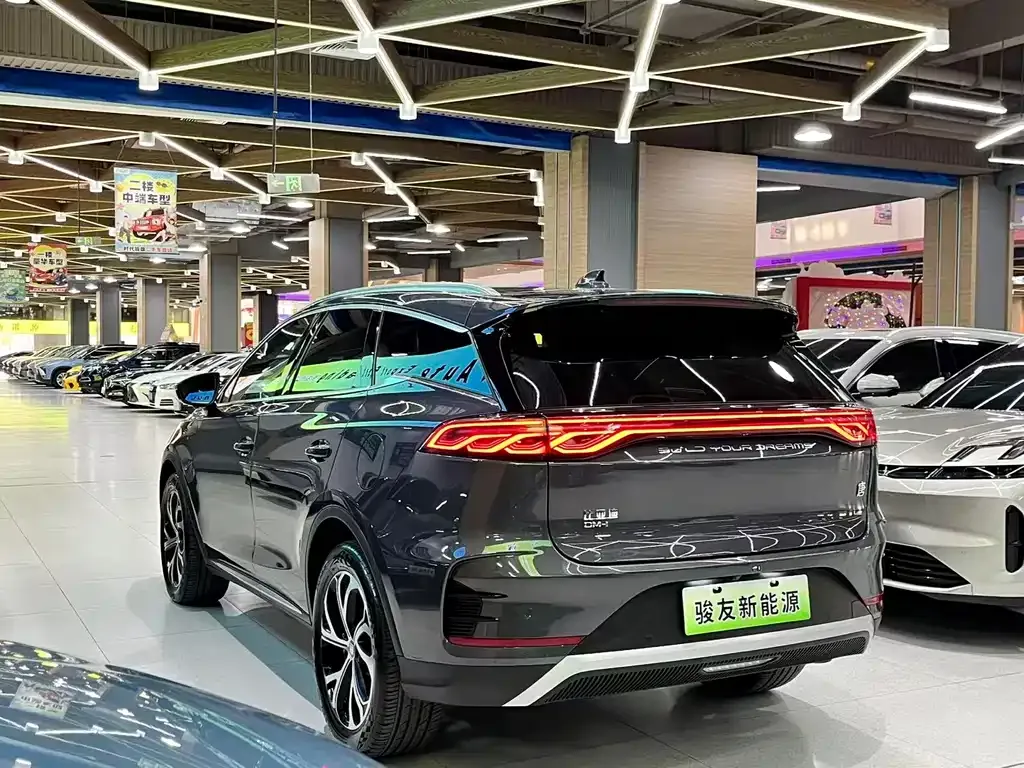 BYD Tang New Energy — фото 8