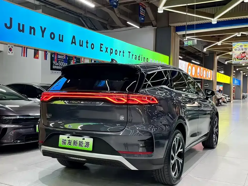 BYD Tang New Energy — фото 6
