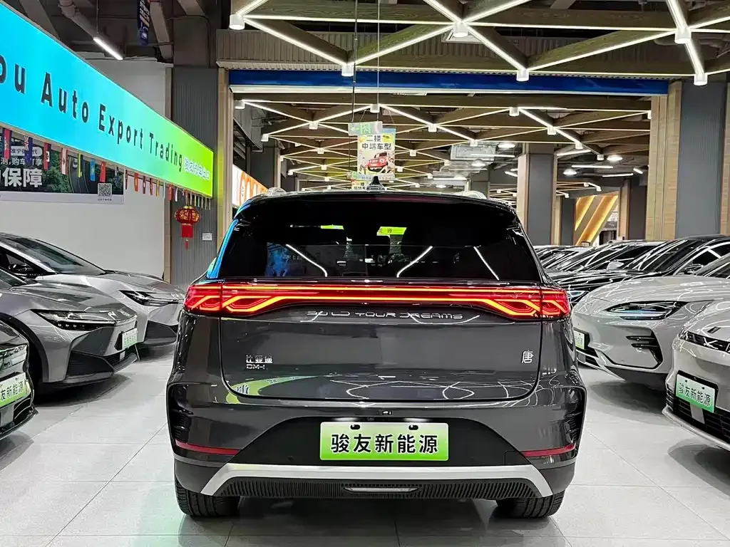 BYD Tang New Energy — фото 4