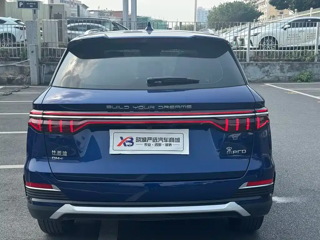 BYD Pro New Energy — фото 9