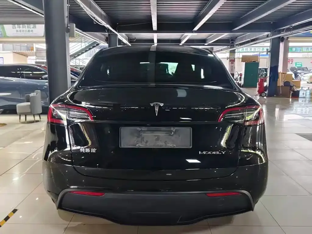 Tesla Model Y — фото 4