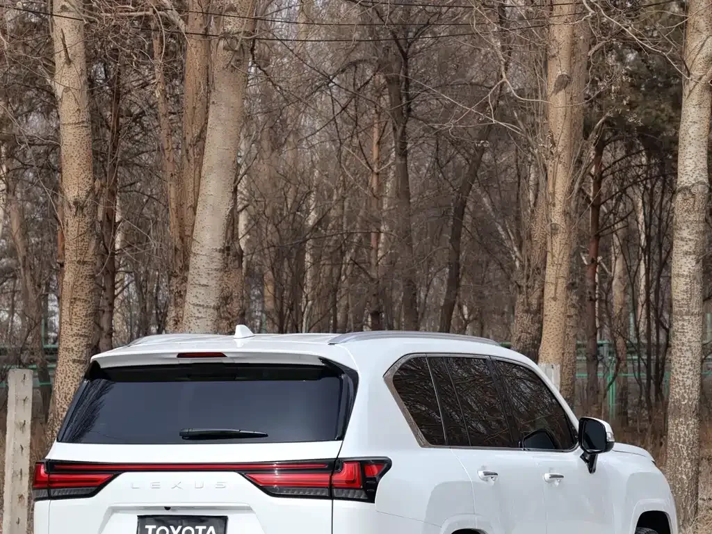 Lexus LX — фото 10