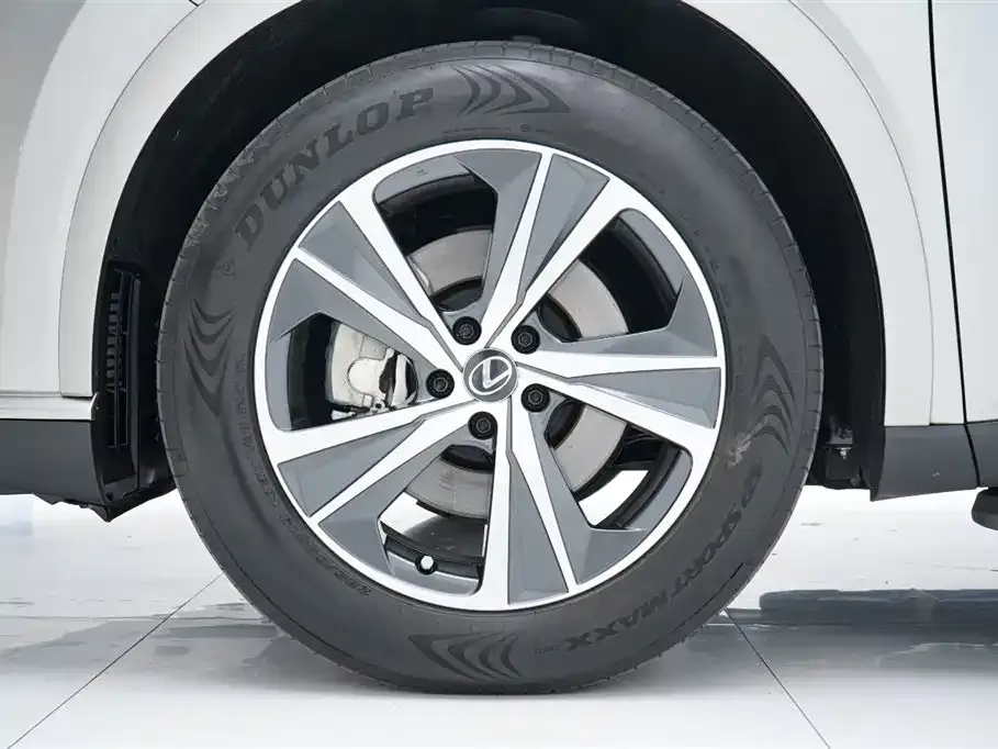 Lexus RX — фото 10