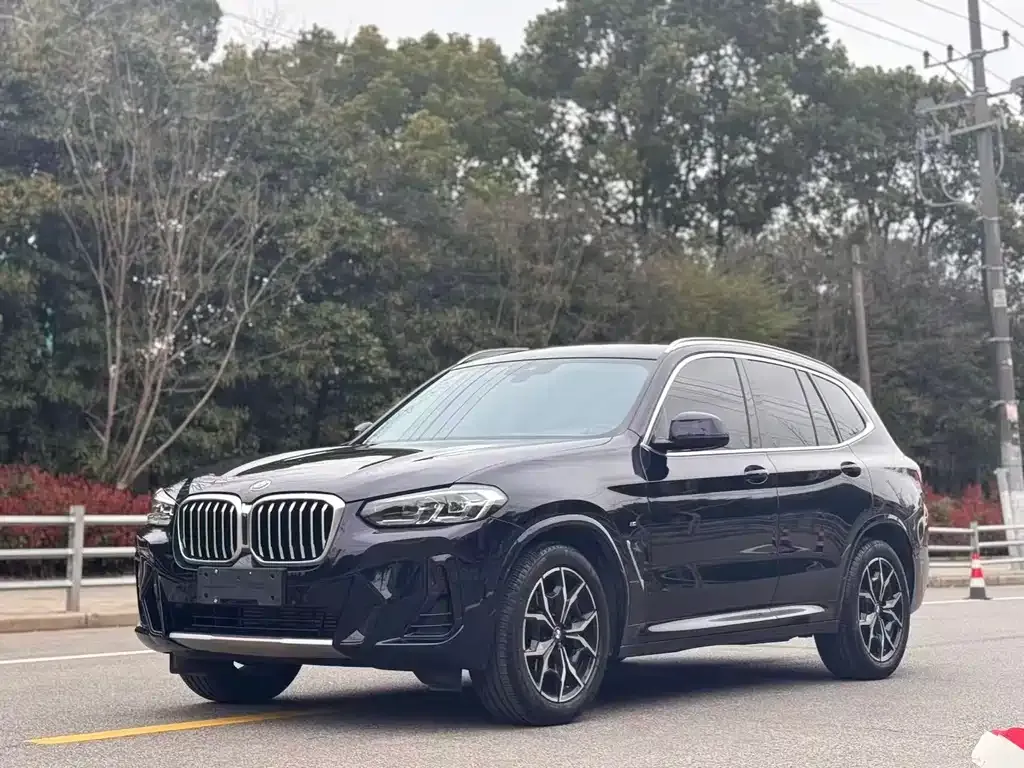BMW X3 — фото 1