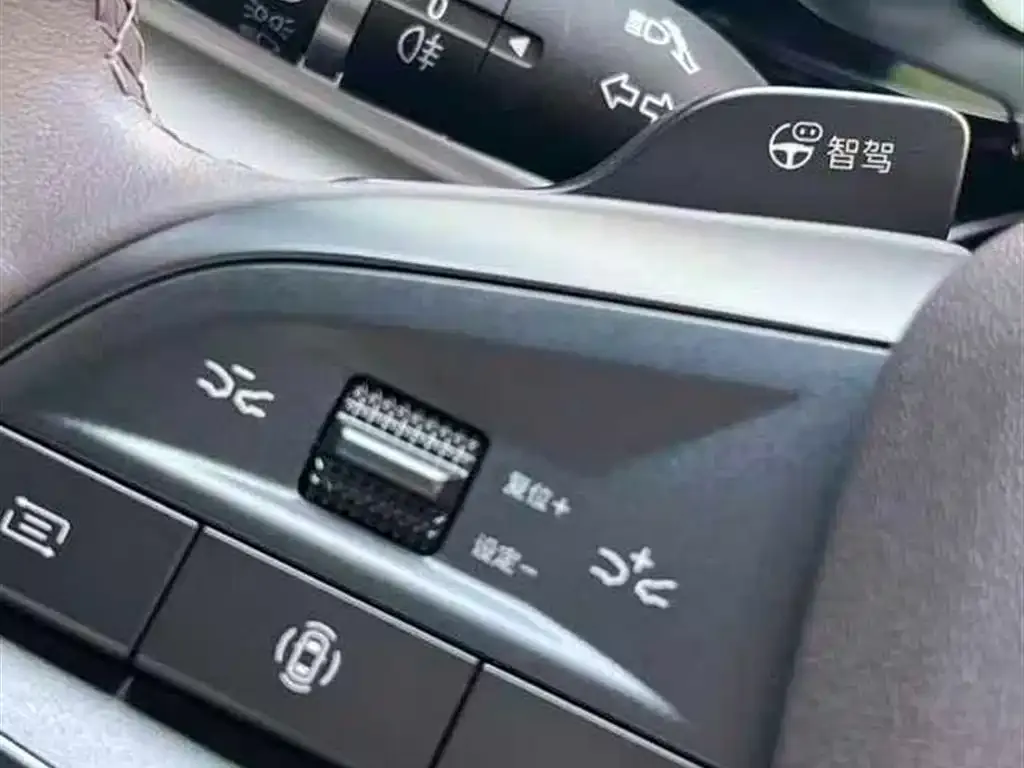 BYD PLUS New Energy — фото 3