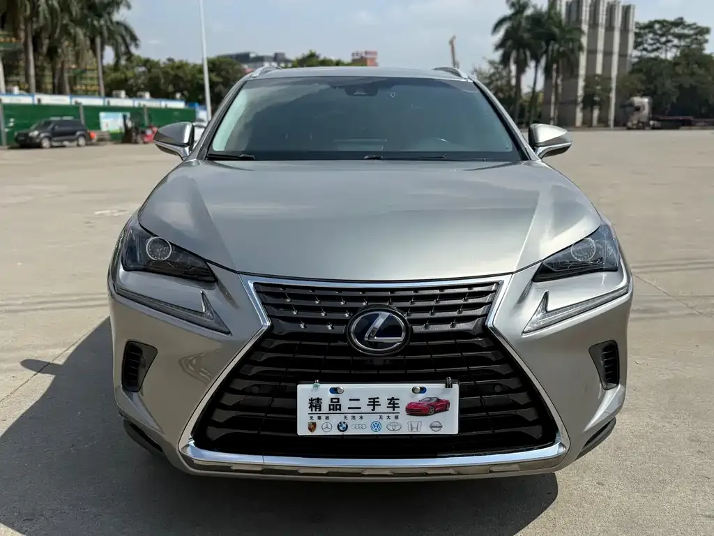 Lexus NX — фото 9
